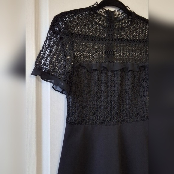 ZARA S Mini Dress Lace Sheer Sleeves & Back Ruffle Whimsygoth Fairy Romantic - Picture 4 of 15